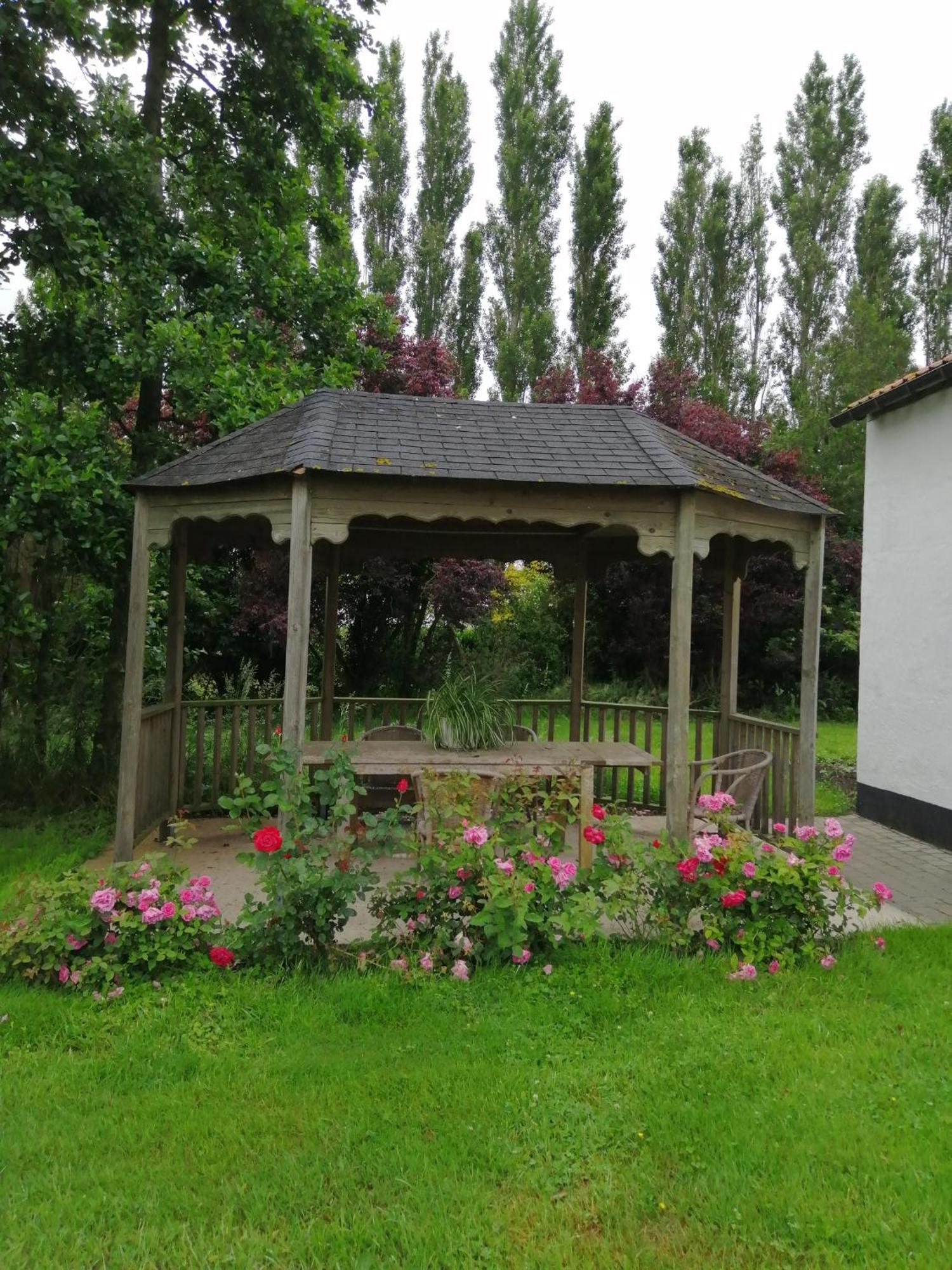 Koekelare B&B Ter Castaigne חדר תמונה