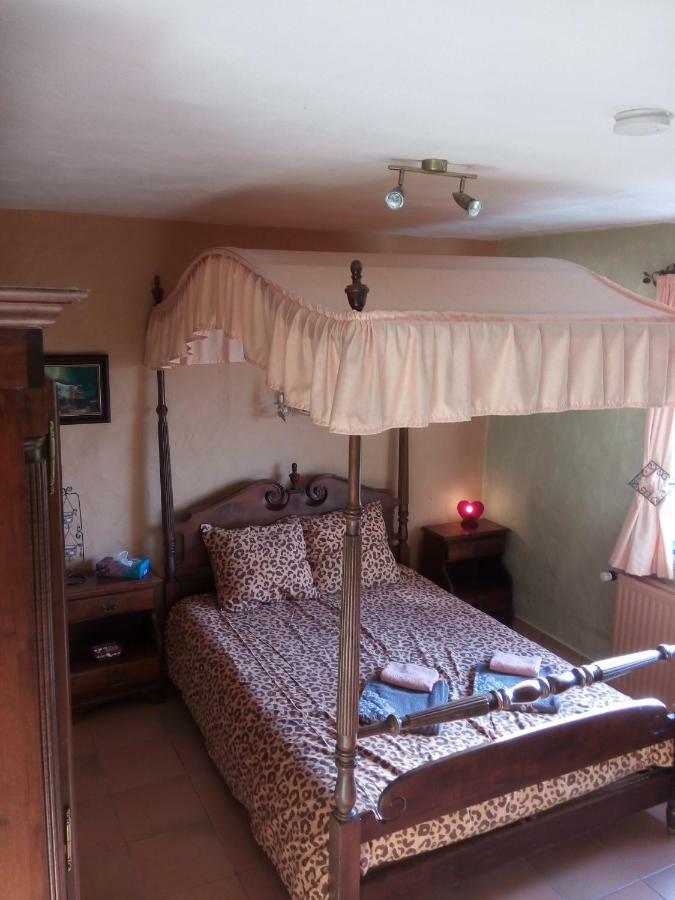 Koekelare B&B Ter Castaigne מראה חיצוני תמונה